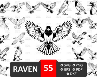 Raven Clipart: 55 Vector Cut Files, SVG, PNG (Digital Download)