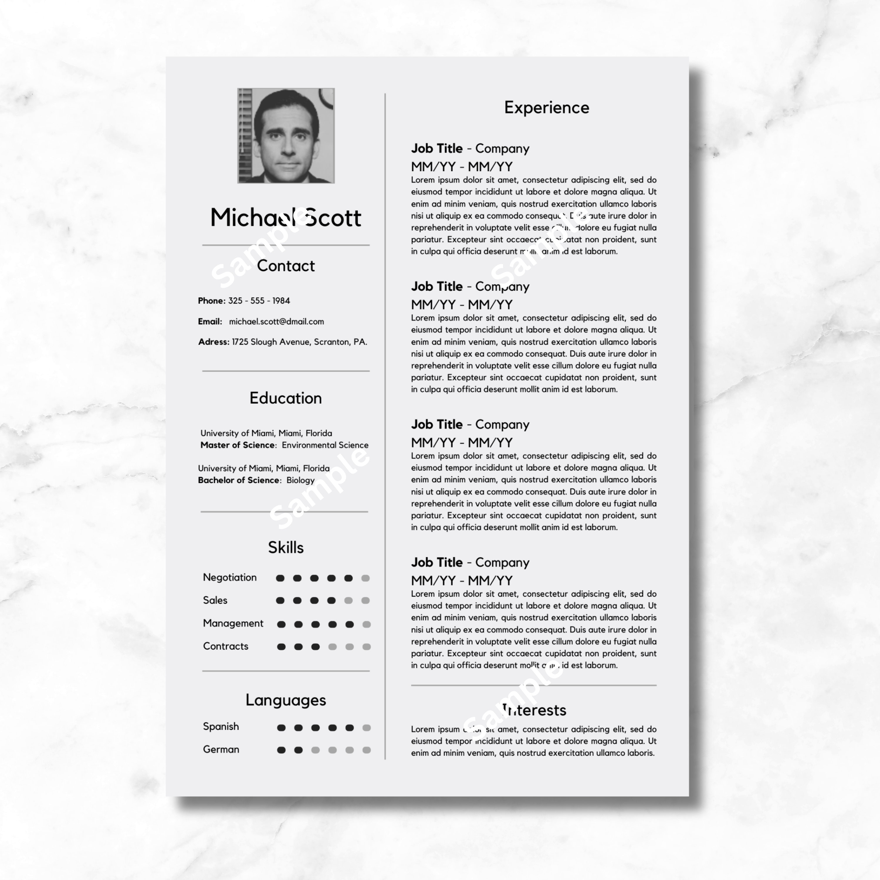 Professional Resume Template, CV Template With Photo, Best Cv Resume