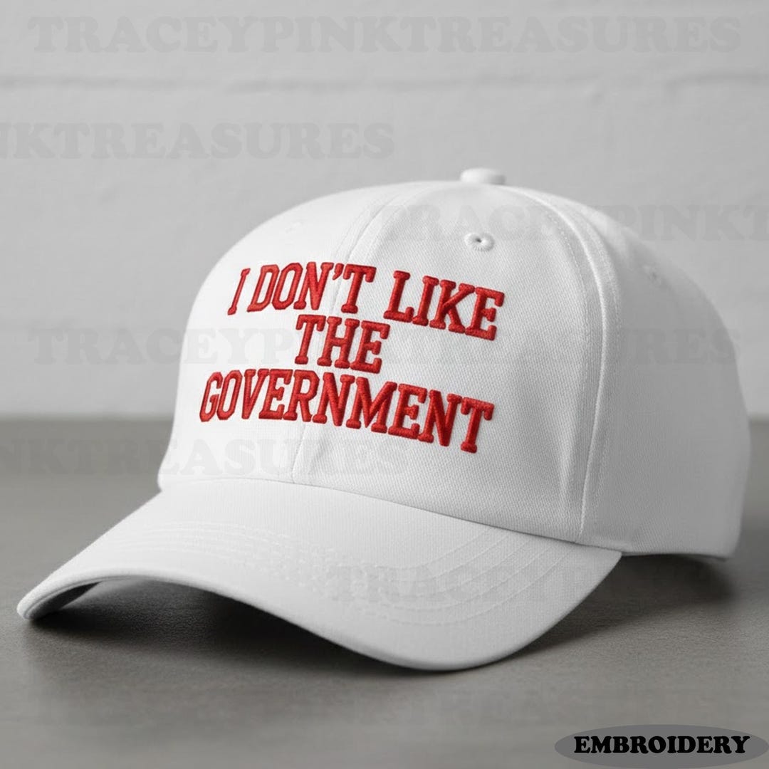 Embroidered I Don’t Like the Government Trucker Hat, Political Hat ...