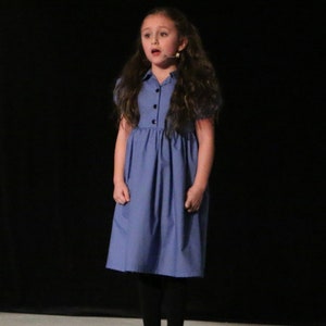 Matilda denim dress discount