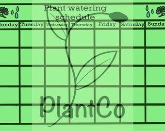 Plant watering schedule