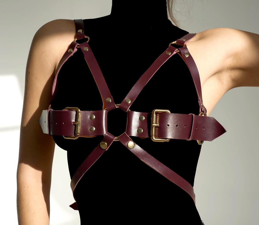 LEATHER HARNESS