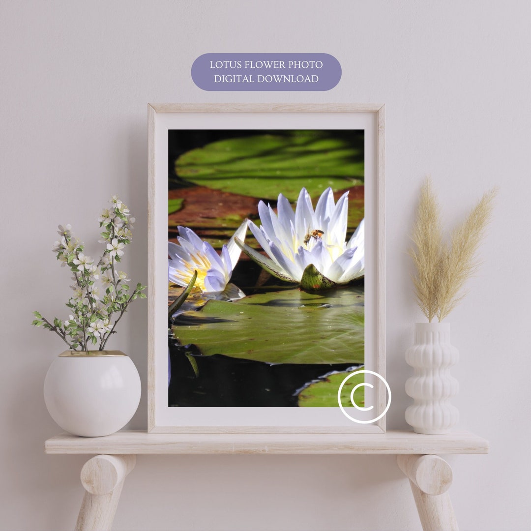 Lotus Flower Wall Art Digital Download Lily Pads Wall Art Healing Wall ...