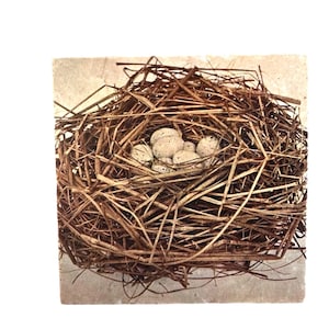 May include: A detailed image of a bird's nest filled with speckled eggs. The nest is constructed from dried brown twigs and straw, resting on a square, light-colored surface. The eggs are a creamy white color with brown speckles.