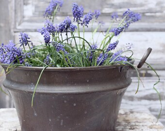 Large Hand-Hammered Copper Basin / Preserving Pan (Bassine) European