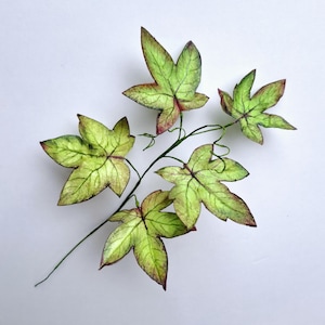 Branch with leaves. Wafer paper