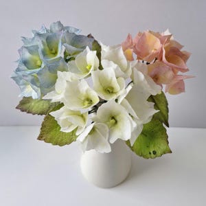 Hydrangea. Wafer paper