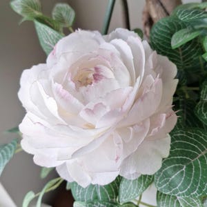 Peonia. Fiore di carta da forno