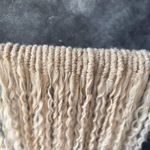 May include: A bundle of long, blonde, curly hair extensions. The hair is in a loose braid and the ends are curled.