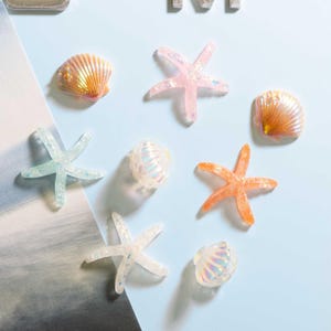 May include: A collection of iridescent seashell and starfish decorations in various colors, including pink, orange, and blue. The decorative items are arranged on a light blue surface, evoking a beach theme.