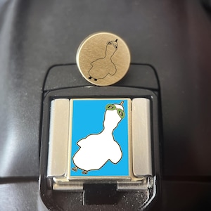 May include: A circular gold-toned metal pin featuring a black line drawing of a bird wearing goggles, paired with a rectangular silver-toned metal charm displaying a white bird with green goggles against a bright blue background.