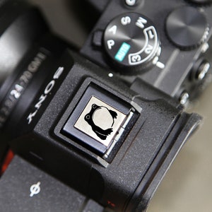 Może przedstawiać: Czarny aparat fotograficzny z srebrnym obiektywem i logo żaby na górze. Aparat ma różne przyciski i pokrętła.