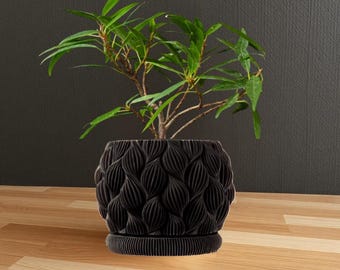 Gerimpelde plantenbak met lekbak