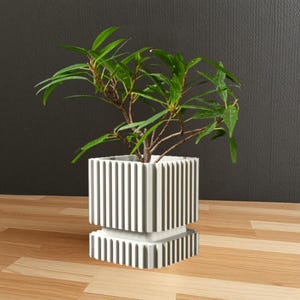 May include: A white planter with vertical ridges, featuring a small green plant with lush foliage. The planter has a square base and a slightly wider top, creating a unique design.