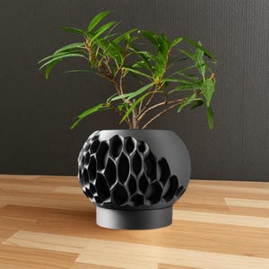 May include: A black ceramic planter with a geometric pattern, featuring a small green plant with leaves.