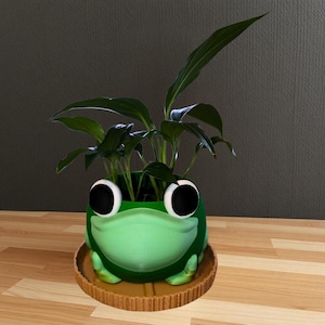 May include: A green frog-shaped planter with large white eyes and a green plant growing inside. The planter is sitting on a brown wooden surface.
