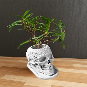 May include: White ceramic skull planter with a small green plant growing out of the top. The skull has a detailed design and is sitting on a white base.