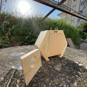Outdoor Carpenter Bee Trap – Pent Roof Wooden Hanging Trap for Effective Bee Capture – Durable Insect Trap with Removable Collection Vault