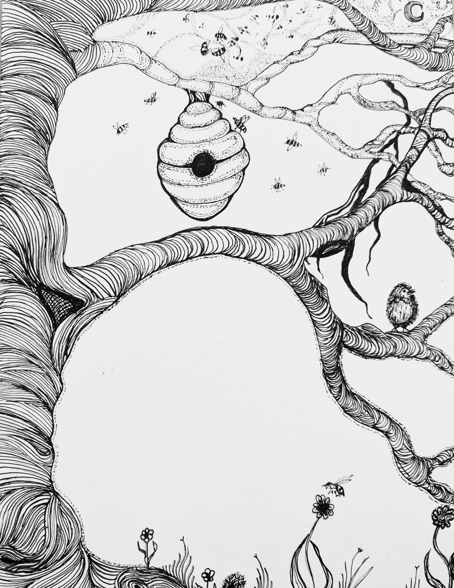 NATURE'S ESCAPE Adult Coloring Pages Downloadable Coloring Pages Printable Art Coloring Book Relaxing Coloring for Adults Stress Relief - Thumbnail 3
