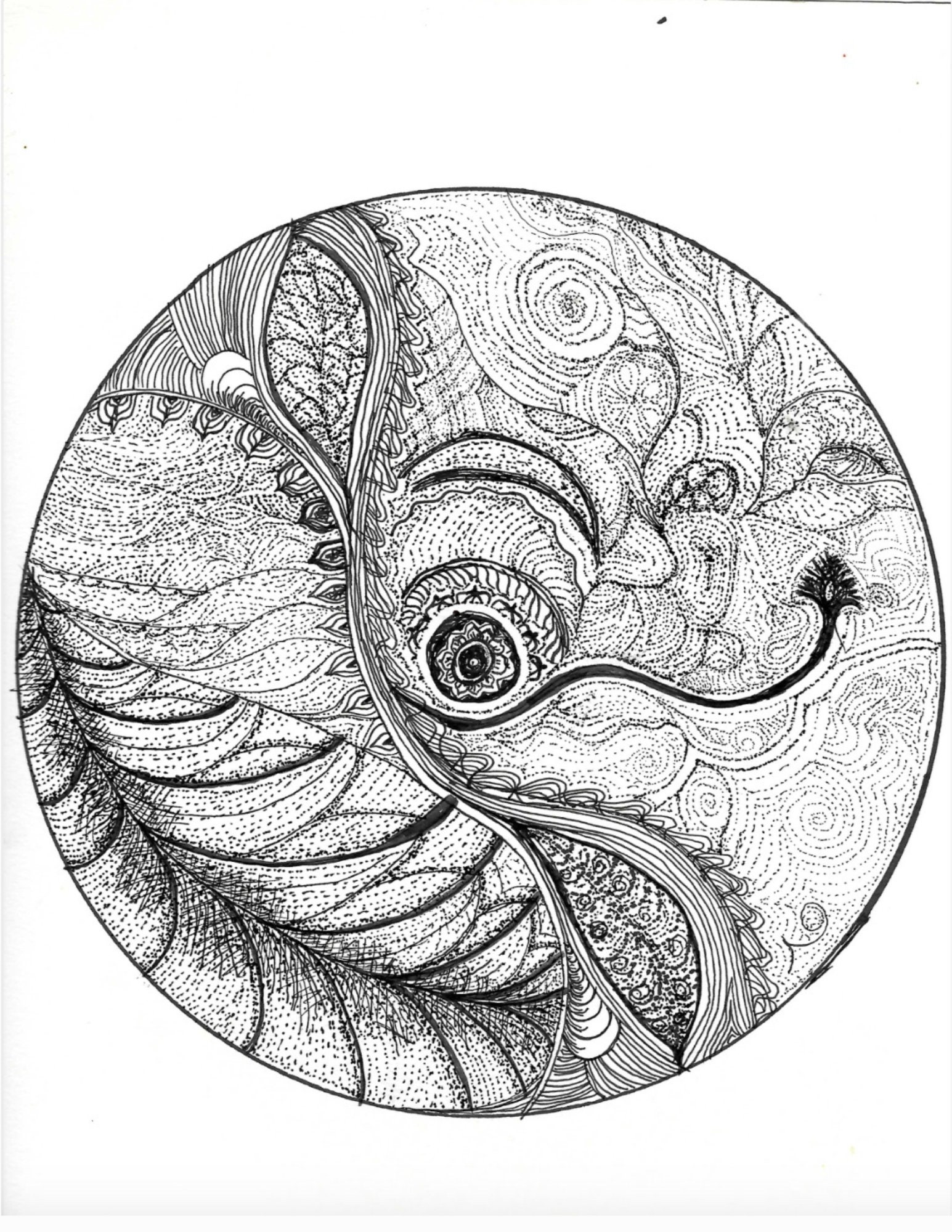 COLOR YOUR WORLD Downloadable Zentangle Coloring Pages Original Printable Art Coloring Book Relaxing Coloring for Adults Stress Relief - Thumbnail 2