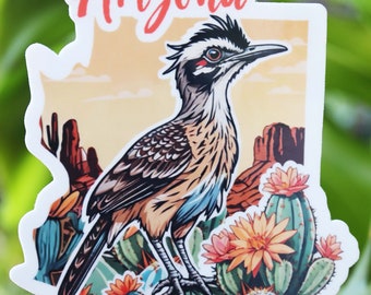 Puede incluir: Una pegatina con un pájaro correcaminos de dibujos animados con un cuerpo de patrón azul y marrón, de pie sobre un cactus con flores naranjas. La pegatina tiene la forma del estado de Arizona y tiene la palabra "Arizona" escrita en rojo en la parte superior.