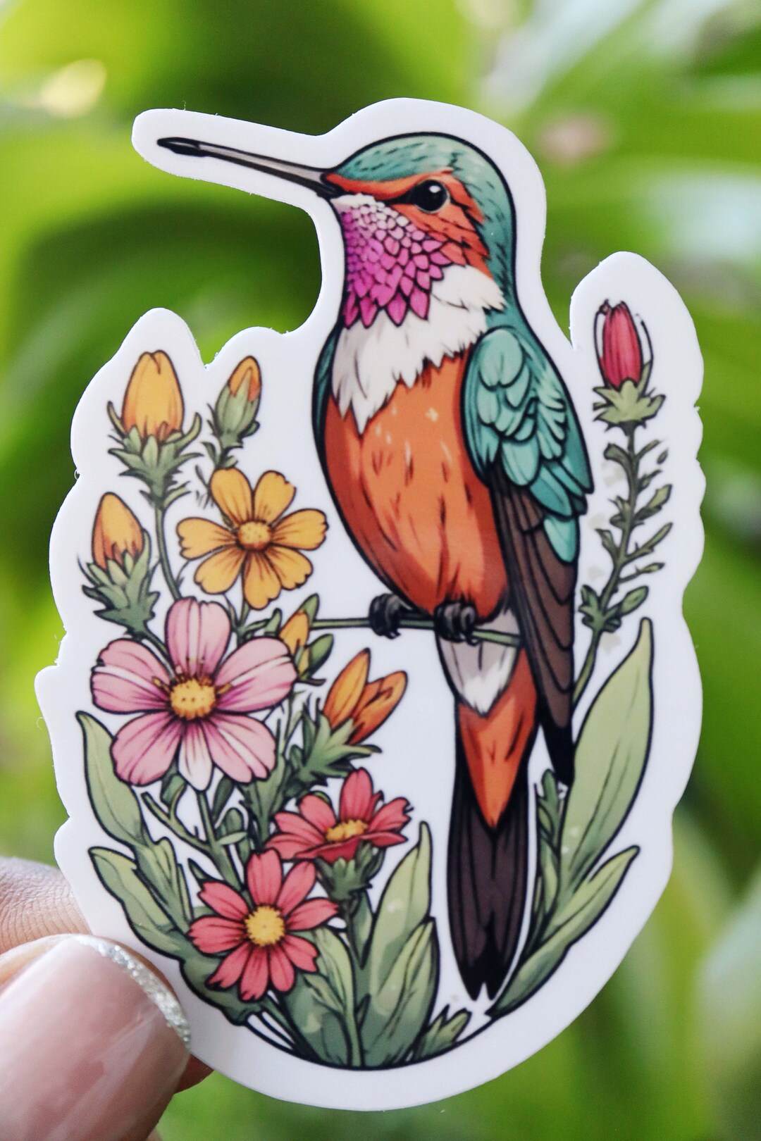 Hummingbird Sticker, Desert Flowers, Vinyl Stickers, Illustrated ...