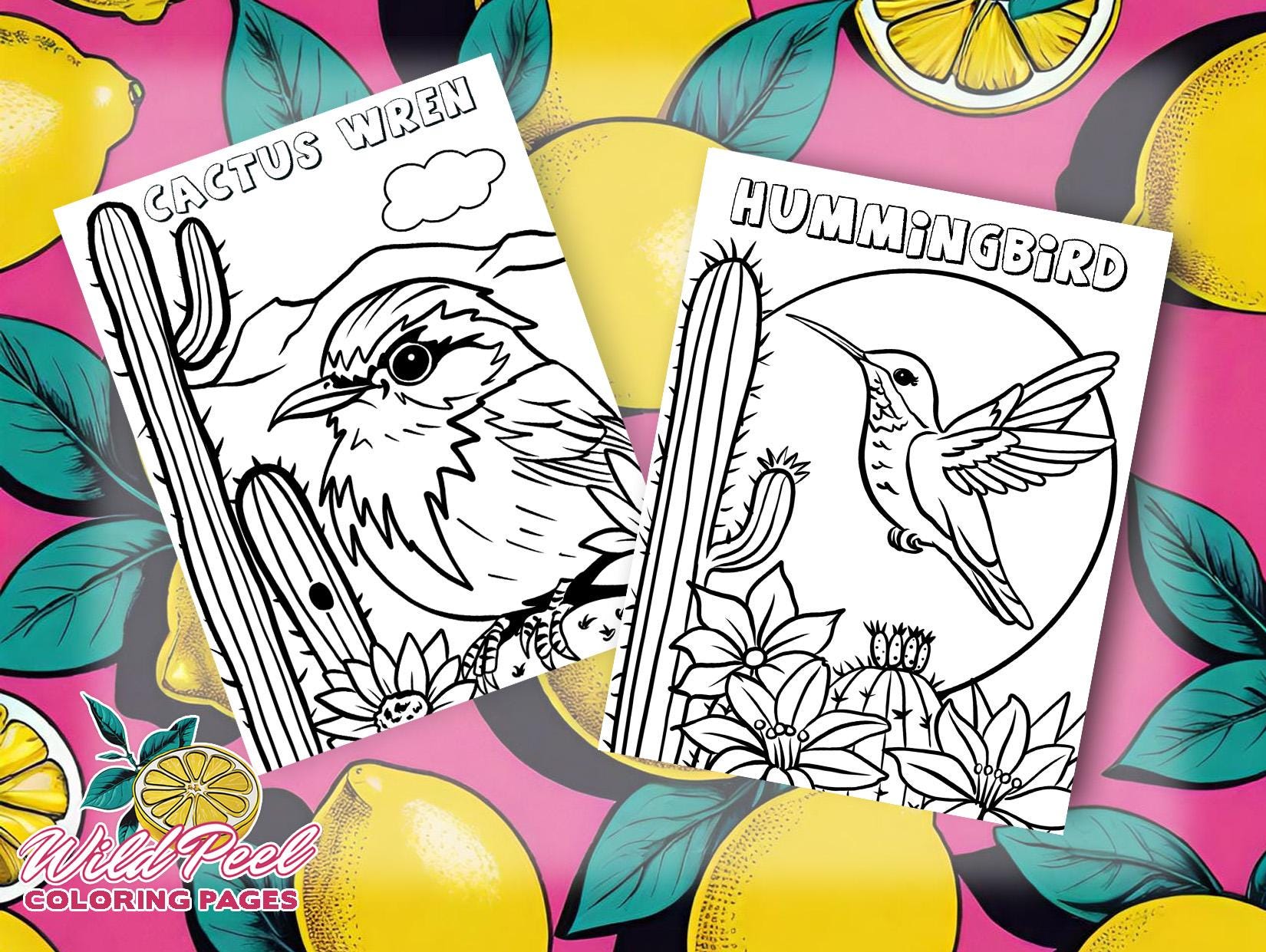 8 printable arizona desert animals coloring pages for kids toddlers