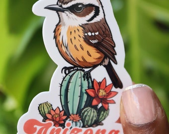 Cactus Wren Vinyl Sticker, Cactus Sticker, Illustrated Sticker, Cute Arizona Sticker, Desert, Cactus, Water Bottle Sticker