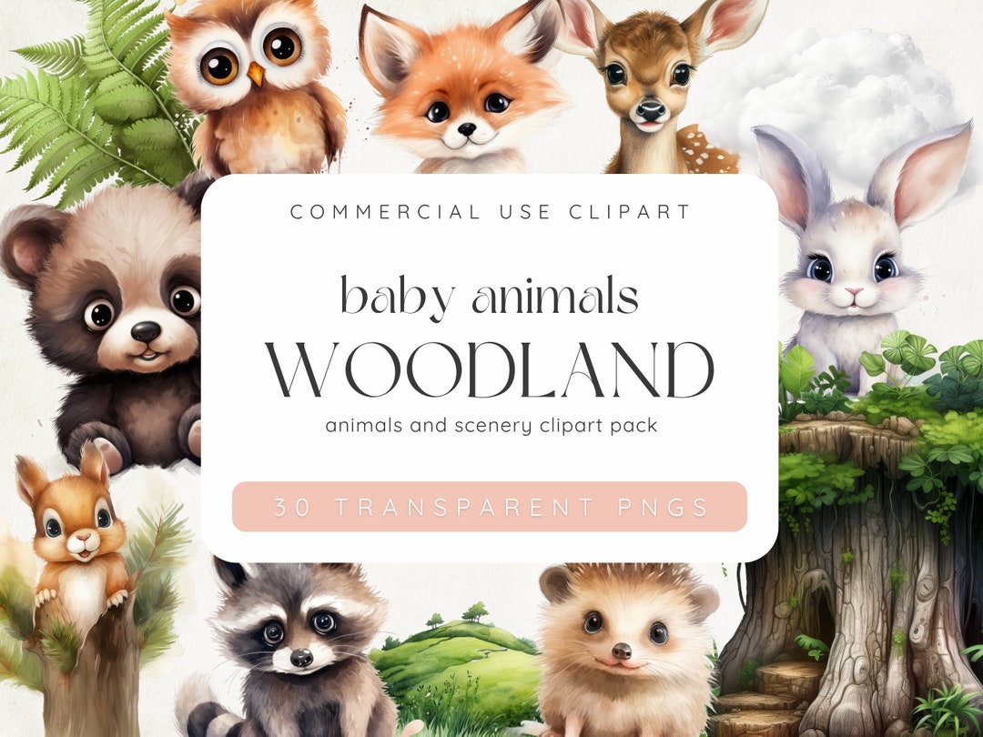 Woodland Baby Shower Clipart, Woodland Animals, Forest Trees, Forest