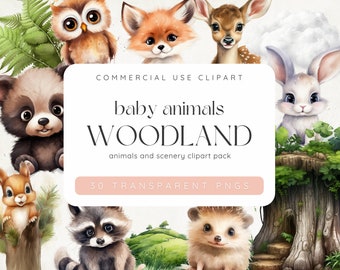 Clipart de baby shower de bosque, animales del bosque, árboles del bosque, animales bebés del bosque, clipart de guardería, animales bebés lindos, uso comercial