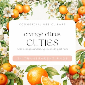Orange Clipart, Little Cuties Citrus Baby Clipart, Orange Twig Clipart, Little Cutie Baby Shower, Orange Blossoms, Commercial Use