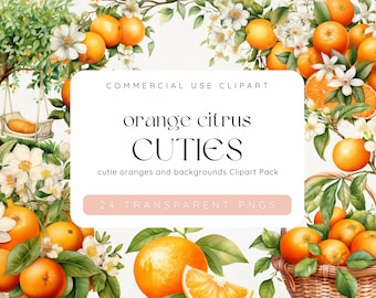 Orange Clipart, Little Cuties Citrus Baby Clipart, Orange Twig Clipart, Little Cutie Baby Shower, Orange Blossoms, Commercial Use