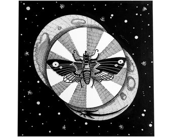 Lunar Moth