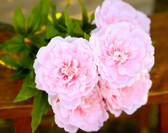 Manojo de peonía rosa claro, flores de Pascua, peonías rosas, peonía artificial, peonías de seda, peonía de seda, peonías artificiales, peonía falsa