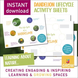 Puede incluir: Un conjunto de hojas de actividades imprimibles para que los niños aprendan sobre el ciclo de vida de un diente de león. Las hojas presentan ilustraciones y texto coloridos, incluida la frase "El ciclo de vida de un diente de león".