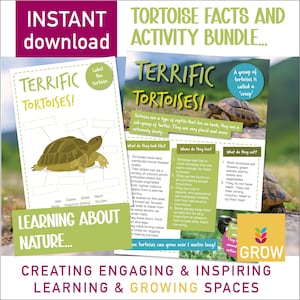 Factsheet activiteitenpakket Terrific Tortoises | Leren over wilde dieren in de natuur | Thuisonderwijs in de klas | Kleurplaten schrijven