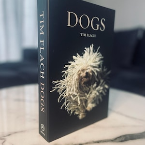 Dogs Decorative Openable Luxury Book Box, Book Box, Coffee Table Decor, Shelf Decor, Fake Book, Book Staging, Gift Box,