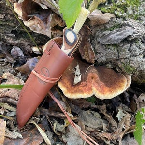 Pode incluir: Uma bainha de couro castanho com uma faca com cabo de madeira é mostrada ao lado de um grande cogumelo. O cabo da faca tem um design circular com vários tons de madeira. A bainha tem um pequeno logotipo de cogumelo e é presa com uma tira de couro.