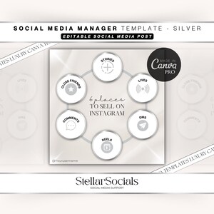 Silber Social Media Instagram Post Vorlage | Social Media Organizer Vorlage | Social Media Leiter Social Media Beiträge | Leinwand