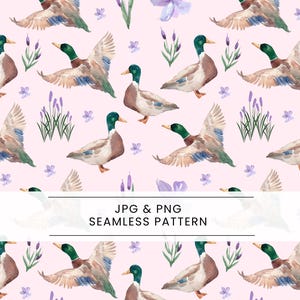Puede incluir: Patrón sin costuras con ilustraciones de acuarela de patos con cabezas verdes, cuerpos marrones y alas azules, sobre un fondo rosa claro con acentos florales de lavanda y morados. Se muestra el texto "JPG & PNG SEAMLESS PATTERN".