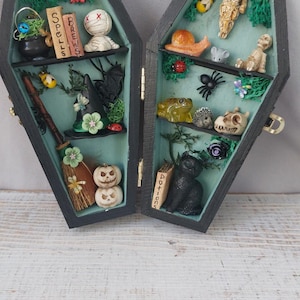 May include: A black coffin-shaped display case with a light green interior, featuring shelves filled with miniature items including books labelled Spells, Brews, and Potions, a mummy, a broom, pumpkins, a cat, a skull, a frog, and various insects.