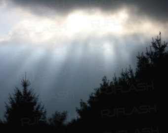 Sun Rays Over Dark Trees | Original Digital Photo | Digital file download | Downloadable print | Printable wall art