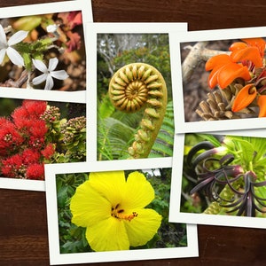 Native Hawaiian Forest Plants Photo Notecards