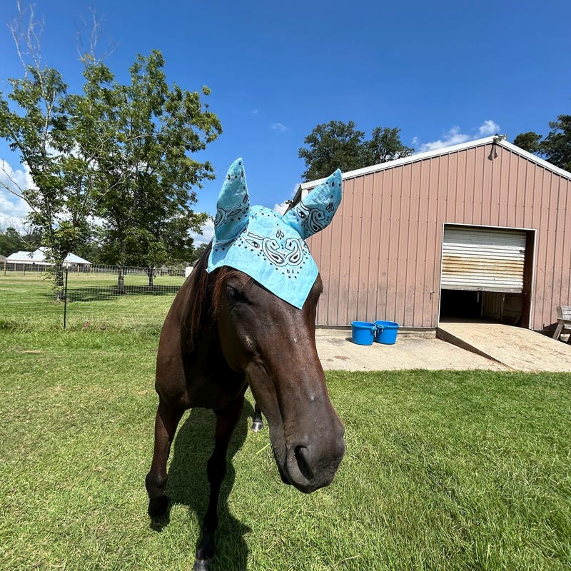 Fly Bonnet - Etsy