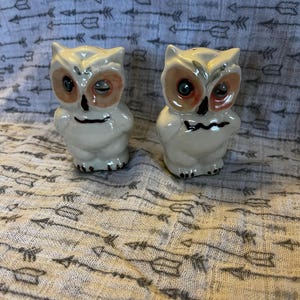 Shawnee Winking Owl - Etsy
