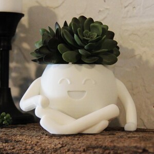 Succulent Planter Character Cute Plant Pot for Desk Decor Funny Face Planter for Small Plants Kawaii Planter for Office Gift for Plant Lover