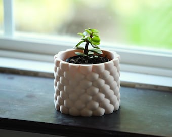 Vase succulente jardinière moderne pour plante d'intérieur Cadeau unique pour amateur de plantes succulentes Décoration d'intérieur minimaliste Présentoir de bureau ou de rebord de fenêtre