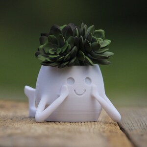 Succulent Planter for Plant Lover Decor for Housewarming Gift for New Couple Gift Cute Succulent Plant Pot for Succulent and Cactus Display
