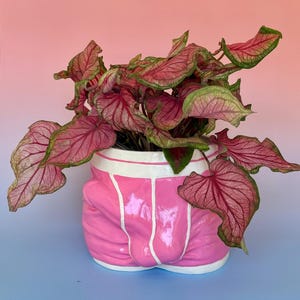 Pot "Adam" met kleur