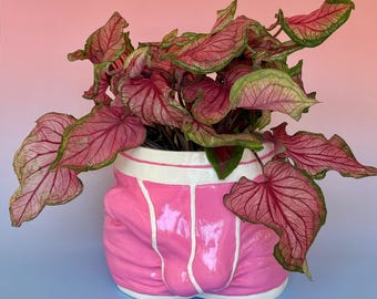 Pot "Adam"  with color